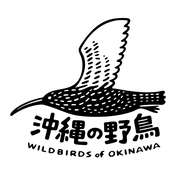 沖縄野鳥