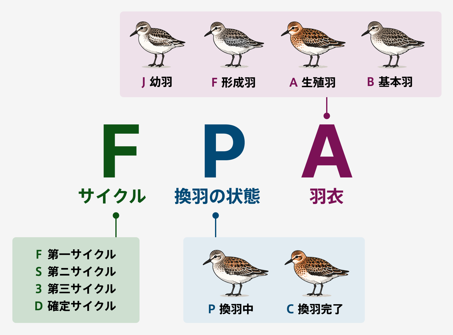 WRPシステムについて