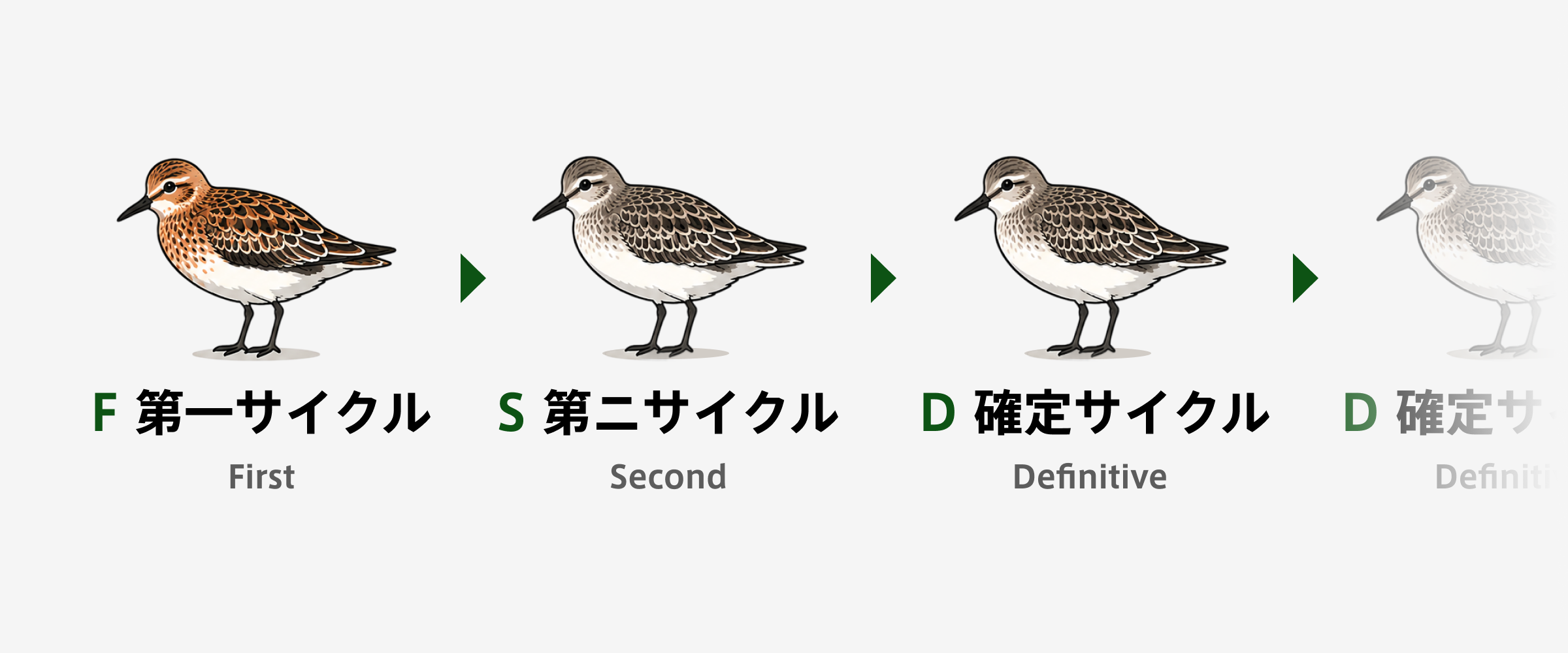WRPシステムサイクル